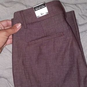 Express Editor Pants
